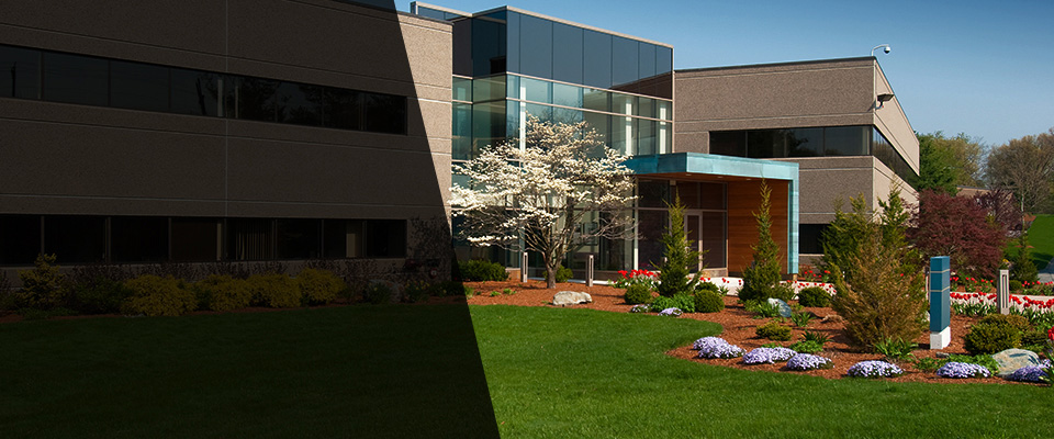 San Carlos Landscapers