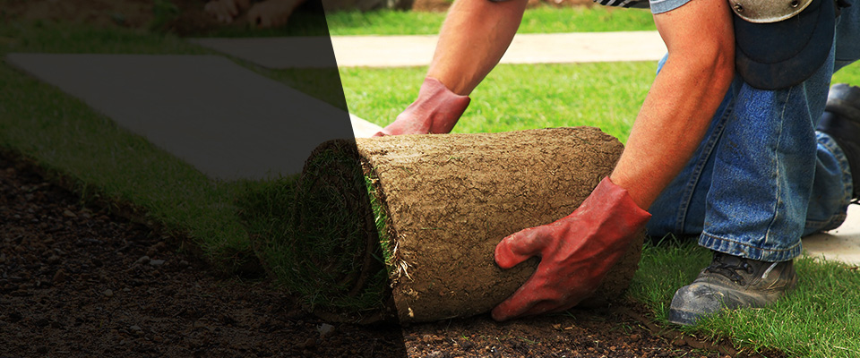 San Carlos Landscapers